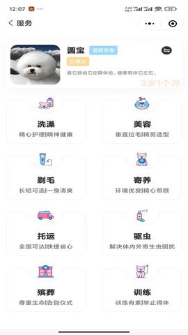 咩咩达宠 第3张图