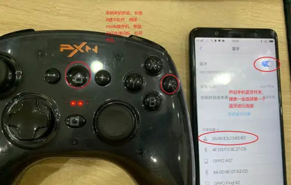 小鸡模拟器软件 第3张图