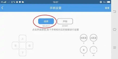 小鸡模拟器软件 第9张图
