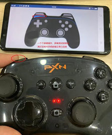 小鸡模拟器软件 第6张图