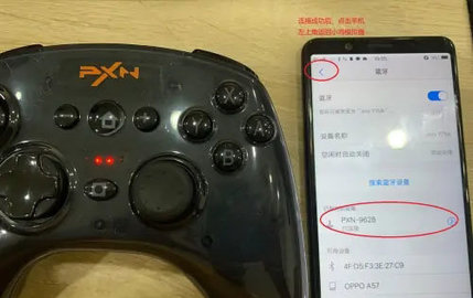 小鸡模拟器软件 第4张图
