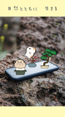 盆栽大师安卓版游戏