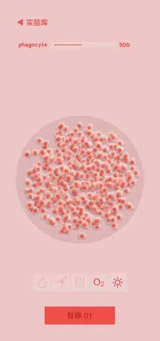 微观micro 第4张图