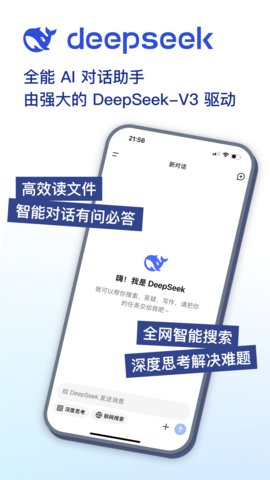 DeepSeek 第1张图