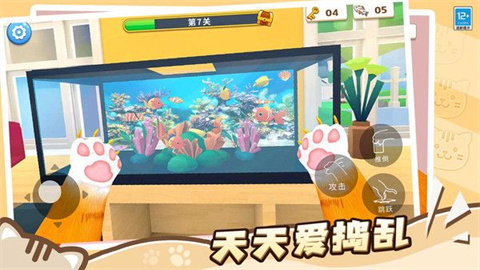 肥猫爱拆家 第3张图