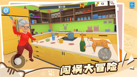 肥猫爱拆家 第1张图