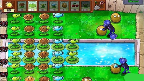 植物大战僵尸cl版（pvzzj） 第3张图