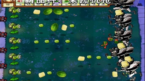 植物大战僵尸cl版（pvzzj）游戏