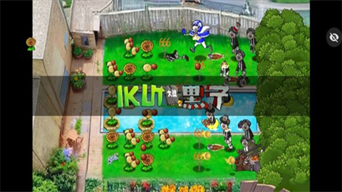植物大战僵尸ikun版游戏