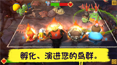 愤怒的小鸟进化游戏