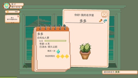 窗边花园 第4张图