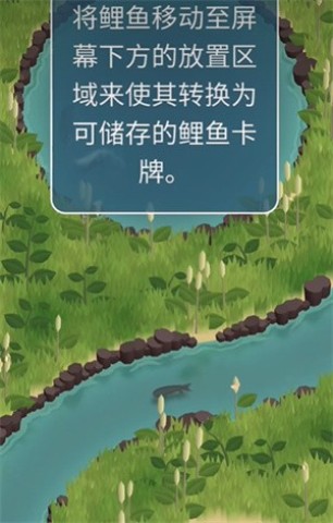 锦鲤农场 第4张图