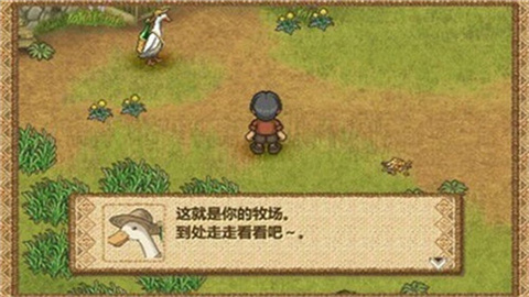 欢迎来到绵羊村游戏