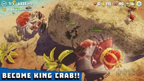 螃蟹之王(King of Crabs)游戏