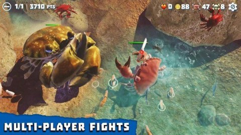 螃蟹之王(King of Crabs)游戏