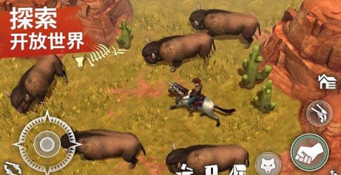 西部土地生存 第1张图