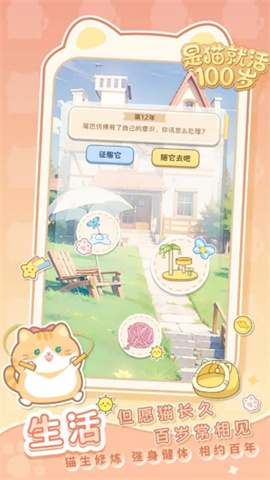 是猫就活100岁 第2张图