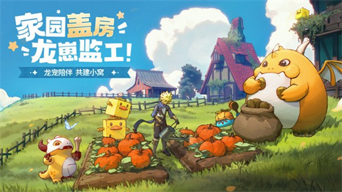 龙骑士学院 第1张图