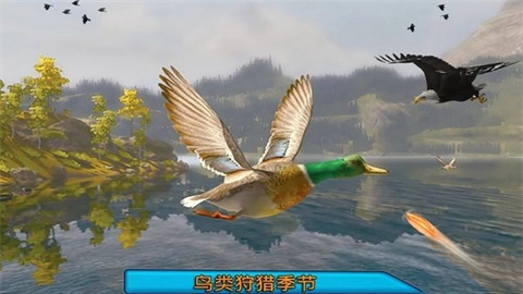 沙漠鸟类狙击手（Desert Birds Sniper Hunter）游戏