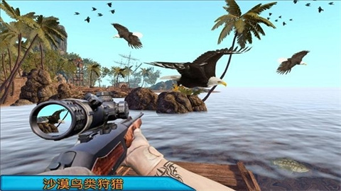 沙漠鸟类狙击手（Desert Birds Sniper Hunter）游戏