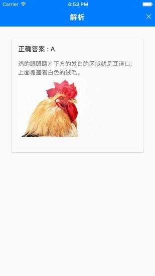 乐趣答题游戏