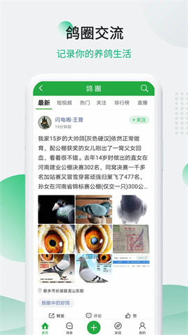 中国信鸽信息网 第2张图