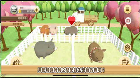 养猪场3D游戏