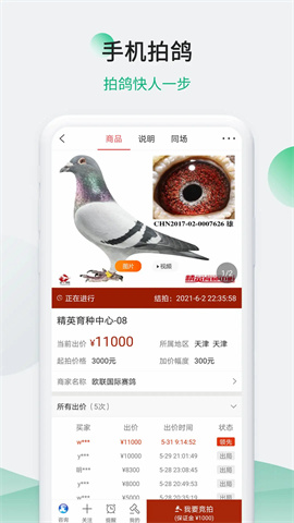 中国信鸽信息网APP