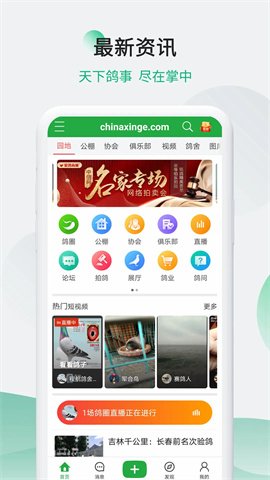 中国信鸽信息网 第1张图