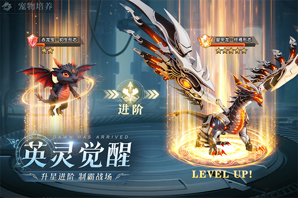 黎明之塔游戏