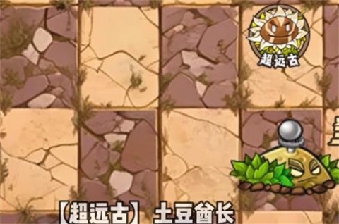 植物大战僵尸神奇植物版 第4张图