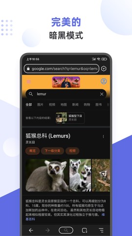狐猴浏览器APP