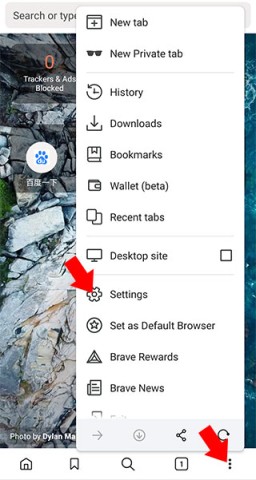 Brave浏览器 第2张图