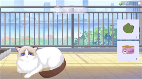 猫之宿约者 第3张图