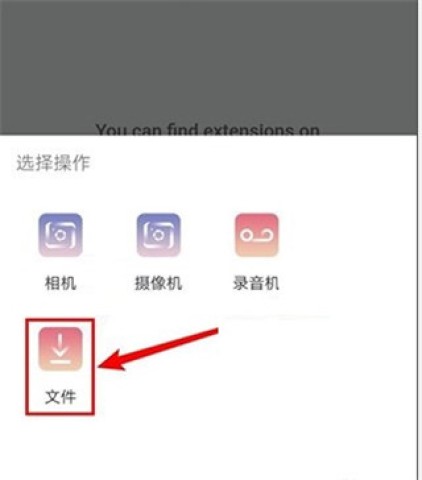 kiwibrowser浏览器 第8张图