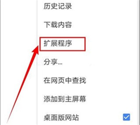 kiwibrowser浏览器 第6张图