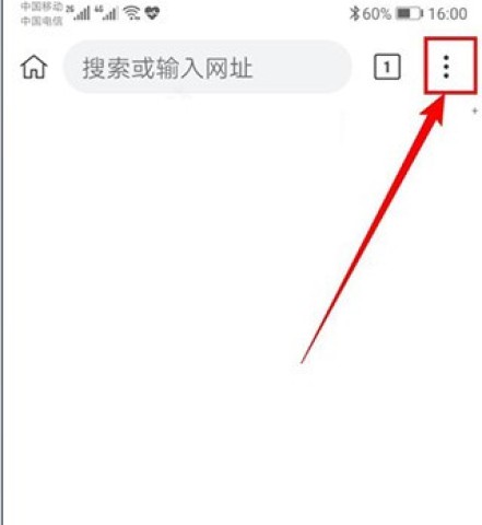 kiwibrowser浏览器 第5张图
