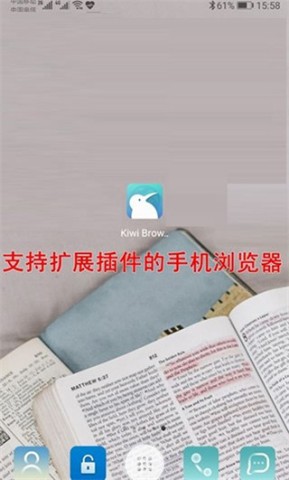 kiwibrowser浏览器 第3张图