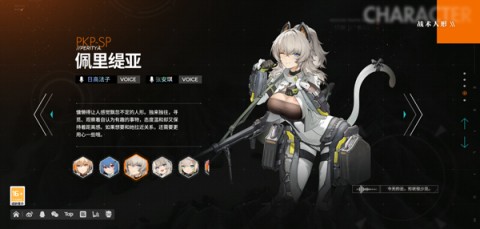 少女前线2追放 第11张图