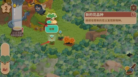 蜜蜂园林 第2张图