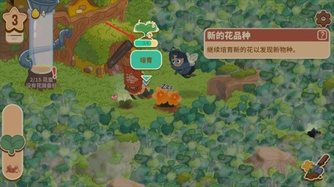 蜜蜂园林 第4张图