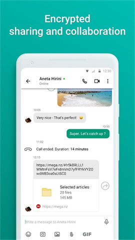megaAPP