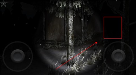 恐怖森林2(Forest 2) 第2张图