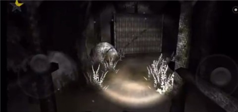 恐怖森林2(Forest 2) 第6张图