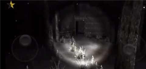 恐怖森林2(Forest 2) 第3张图