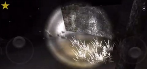 恐怖森林2(Forest 2) 第8张图