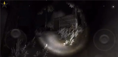 恐怖森林2(Forest 2) 第5张图