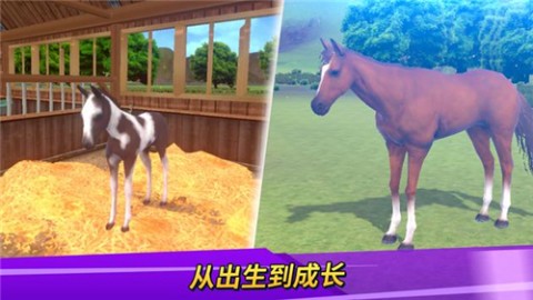 德比生活（Derby Life）游戏