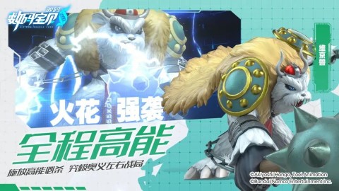 数码宝贝源码游戏