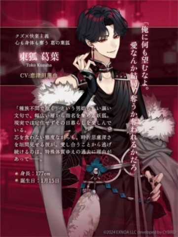 梦幻楼与不眠之蝶汉化版 第7张图